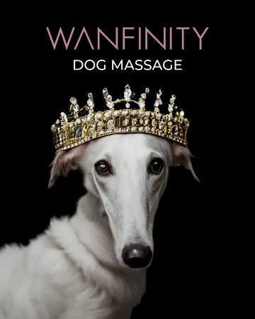 「たいせつなあなたと ずっと一緒にいたいから」上質なドッグマッサージを提供するWanfinity （ワンフィニティ） デビュー