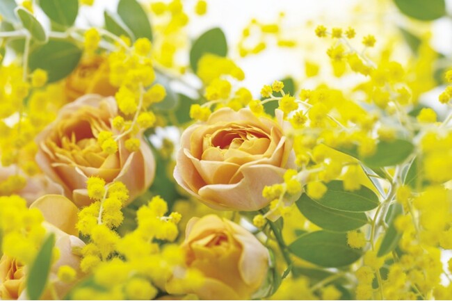 【ファンケル】3月8日の国際女性デーに合わせて「ファンケル 銀座スクエア」で女性を応援するイベントを開催