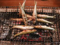 奥びわ湖の旬の魚を味わい尽くす!イベント「グルメの集い」を3月16日(日)に開催