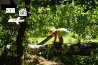 ドイツの持続可能な社会づくりを学ぶツアーを2025年6月に開催！5泊7日間　園庭ビオトープ、国際空港など8か所を訪問【募集締切 3月10日まで】