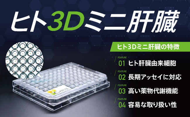 当社3D細胞製品に関する新たな知的財産権取得のお知らせ