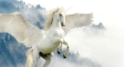 【自分と感情を解放するトレーニング】きつい感情、承認欲求や執着からの自己解放するやり方。ワークショップ、セラピーやスピリチュアルで感情の解放ができなかった人へ