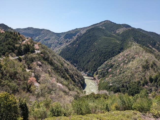 【JAF京都】嵐山-高雄パークウエイ60周年×JAFコラボイベント開催!