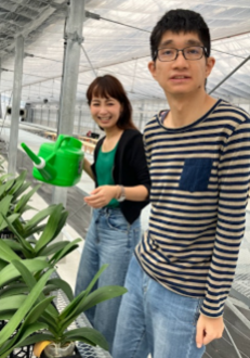 AlonAlon（理事長那部智史、千葉県いすみ市）がプロデュースしたAimowlの胡蝶蘭農園で、障害者の皆様が丹精込めて育てた胡蝶蘭が、初出荷を迎えます。