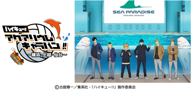 【横浜・八景島シーパラダイス】3つの水族館で”繋ぐ”コラボレーション企画　株式会社横浜八景島で初となる巡回イベントを開催！『ハイキュー!!アクアリウムキャラバン!!～横浜・上越・仙台～』