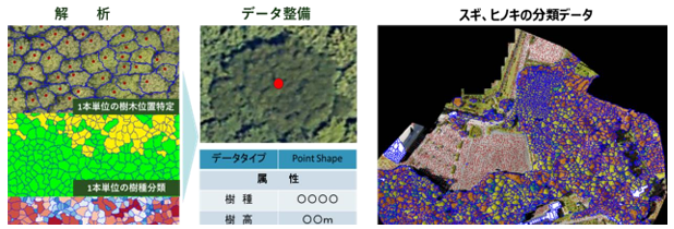 東金市でドローン空撮画像×AI解析ソフトの技術を活用した森林調査を実施しました