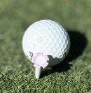 考え抜かれた花びら型デザイン 考え抜かれた花びら型デザイン