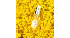 3/8(土)は「国際女性デー(ミモザの日)」春の訪れを感じる、ミモザカラーのギフトをご紹介 3/8(土)は「国際女性デー(ミモザの日)」春の訪れを感じる、ミモザカラーのギフトをご紹介