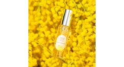 3/8(土)は「国際女性デー（ミモザの日）」春の訪れを感じる、ミモザカラーのギフトをご紹介