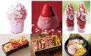 第23回 春の北海道大物産展