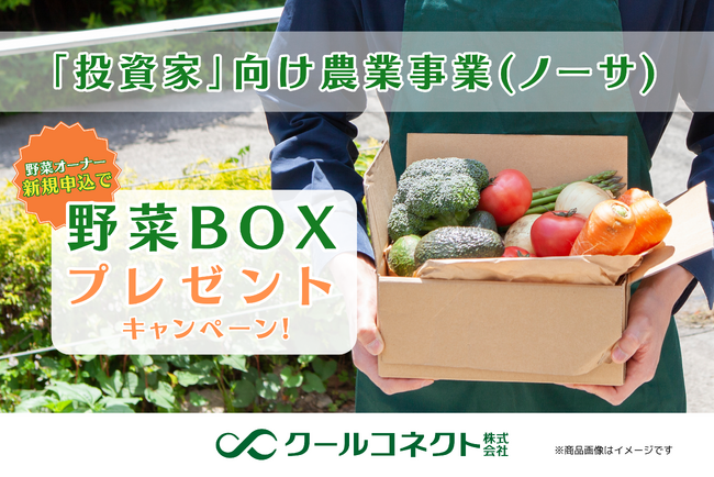 「投資家」向け農業事業（ノーサ）、新規契約で野菜BOXプレゼントキャンペーン開始のお知らせ