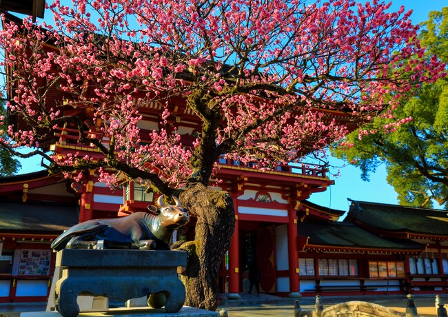 幸運を呼ぶ天神さまの守り鳥「鷽（うそ）」、美しい梅が咲き誇る境内で、伝統民芸品「木うそ」の無料絵付け体験ができる「門前まつりフェア」を開催！珍しい古代米入りの梅ヶ枝餅もプレゼント！