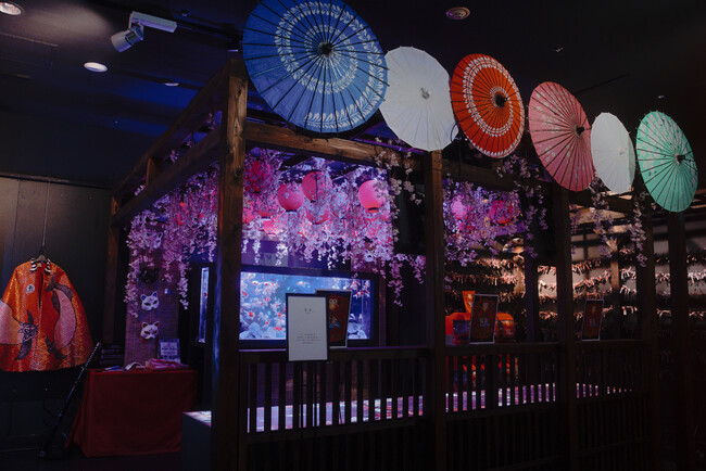 【お台場アク和リウム】桜色に染まる春の幻想空間「水景花明かり」を開催！桜に因んだ金魚たちとともに、天候に左右されない優雅なお花見を。