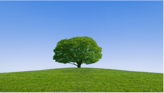 パブリックリソース財団、故阿久津弘子様からの遺贈寄付を受領