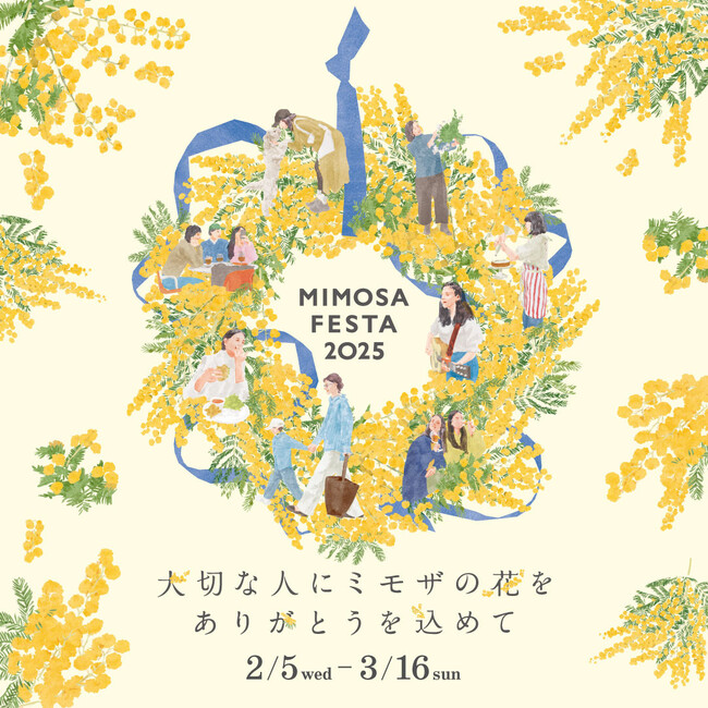 春の彩りが広がる季節。鮮やかなミモザが見頃を迎えます！　ラ チッタデッラ「MIMOSA FESTA 2025」開催中