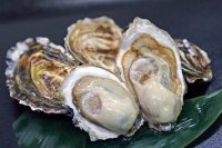 北海道・厚岸町が贈る究極の食旅！牡蠣×ウイスキー×クラフトビールが織りなすガストロノミーツーリズムが誕生!!