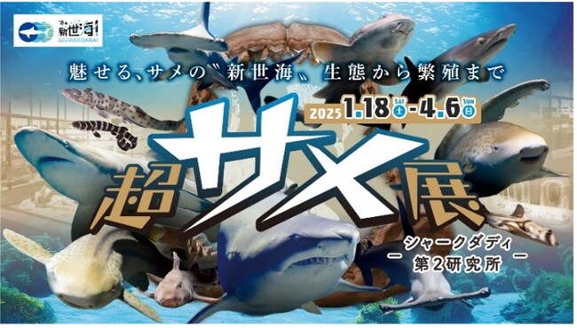 【アクアワールド茨城県大洗水族館】水族館や動物園のマスコットキャラクターが大集合！『FIGHT11スプリングキャンペーン２０２５』【２０２５年３月１６日（日）　１４：００～１５：３０】