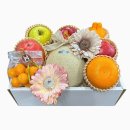 静岡県産マスクメロンと季節の果物が奏でる 旬果のアソート - H - (2) 静岡県産マスクメロンと季節の果物が奏でる 旬果のアソート - H - (2)