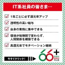 IT系社員の皆様へ IT系社員の皆様へ