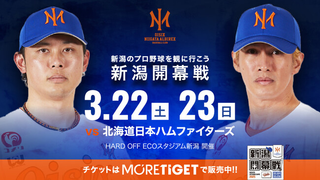 オイシックス新潟アルビレックスBC 2025年公式戦チケット、MORE TIGETにて販売中！