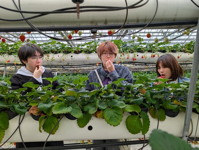 不登校の生徒を含む中高生がいちご狩りを初体験！熊本学習支援センター2泊3日の宿泊イベント「春の卒業旅行」を実施！