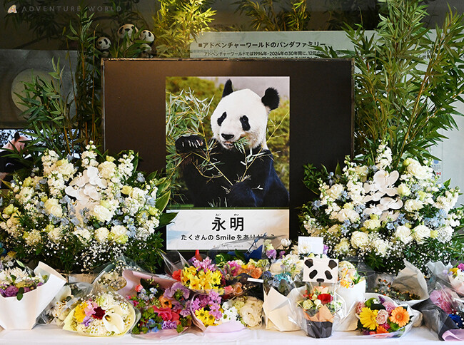 ３２年間、たくさんのSmileをありがとう ジャイアントパンダ「永明（えいめい）」を偲ぶ会を実施いたします ２０２５年４月５日（土）