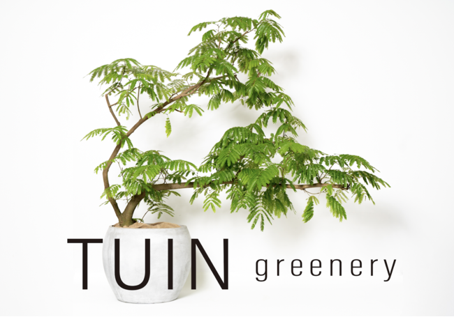 TUIN greenery が The SHEL'TTER TOKYO 東急プラザ表参道「オモカド」店にオープン