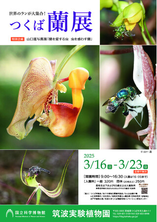 【国立科学博物館 筑波実験植物園】企画展「つくば蘭展」開催のご案内