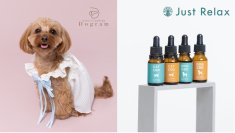 愛犬家のための犬専門写真館Dogramとペット用CBDオイルブランド Just Relaxがコラボ！4月3日より開催の「第14回インターペット」に出展