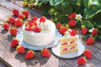 YATSUDOKI「自社農園苺ショートケーキ」、3月7日（金）よりリニューアル発売