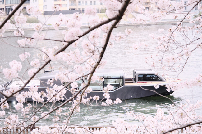 【アマン東京】日本が誇る桜の季節を愉しむ「桜 プライベート リバークルージング」プランのご案内