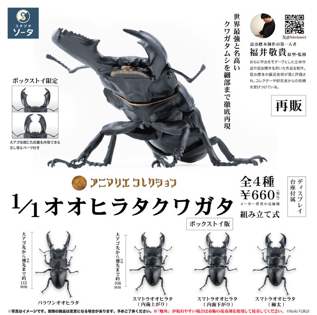 福井敬貴×スタジオソータ「アニマリエコレクション 1/1オオヒラタクワガタ」再販決定！(特典画像あり)