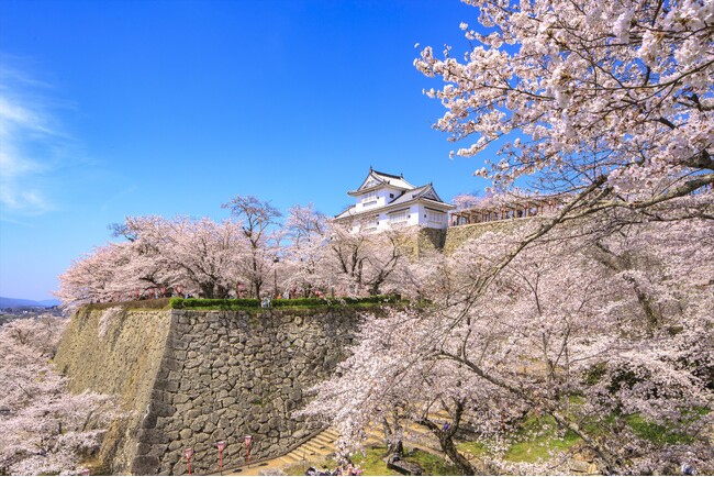 「晴れの国おかやま」で春と歴史のロマンを満喫！樹齢約1000年の一本桜など県内屈指の“歴史と調和する”桜の名所5選