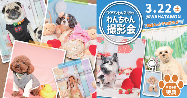 【南大阪ワタワン】わんちゃん撮影会、事前予約で「うちのコキーホルダー」プレゼント！