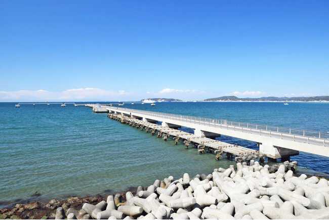 海洋散骨「シーセレモニー」に新エリア「館山」が追加!家族で送る「ファミリー散骨」プランを展開