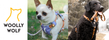 コンビ㈱ 初の犬用リードとハーネスの取り扱いを開始　フィンランド生まれのおしゃれで環境に配慮した犬具ブランド『ウーリーウルフ』2025年3月下旬 新発売