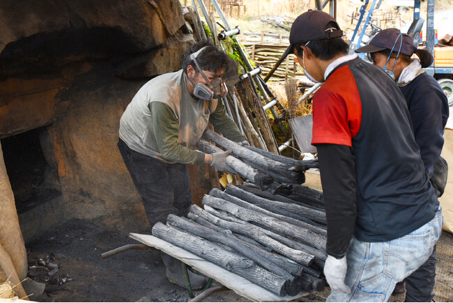 黒川地区で一庫炭（菊炭）の窯出しが始まる / 兵庫県川西市