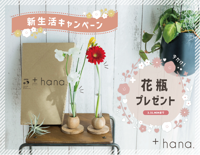 花を助け、花に助けられる ロスフラワーの定期便 +hana（タスハナ）に新規お申込みで、2025年 春の新生活を彩る もれなく花瓶がもらえる「新生活プレゼントキャンペーン」開催！
