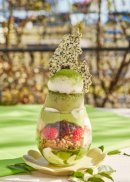 丹那抹茶のTAMAGOプリンパフェ 丹那抹茶のTAMAGOプリンパフェ