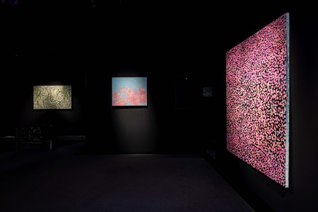現代アーティスト中北紘子作品展「Apoptosis」開催