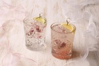 アメリカンレストラン「ハードロックカフェ」桜をテーマにしたスペシャルカクテルとTシャツが登場「Cherry Blossom 2025」