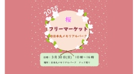 3/30(日) 日本丸メモリアルパークにて、桜フリーマーケットを開催します 3/30(日) 日本丸メモリアルパークにて、桜フリーマーケットを開催します