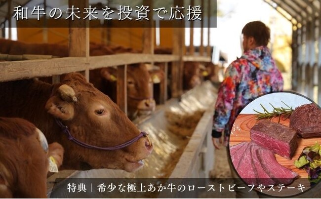 投資で和牛の未来を守る！こだわりの「あか牛」育成プロジェクト