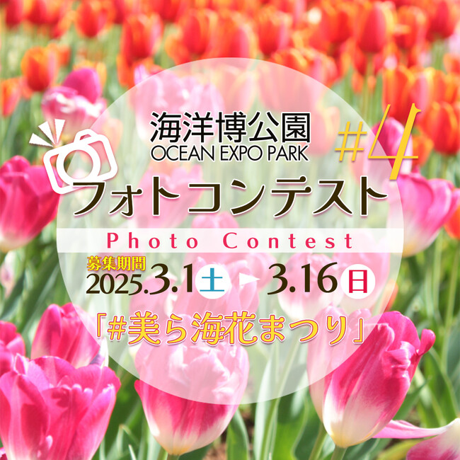 【海洋博公園】第4回フォトコンテスト開催！「美ら海花まつり」の彩りを写真に収めよう！