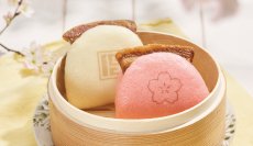 角煮まんじゅうの岩崎本舗、「春のキャンペーン」を3月31日まで実施中！～春の限定商品「さくら角煮まんじゅう」も販売～