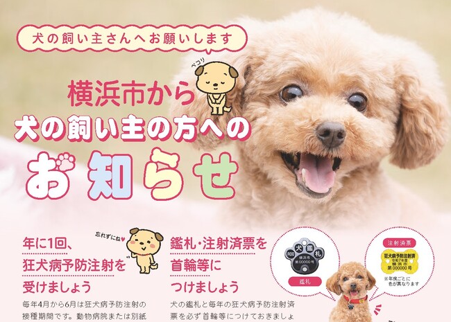 ＼横浜をもっとドッグフレンドリーな街に／「犬の飼い主の方へのお知らせ」のデザインをリニューアル！