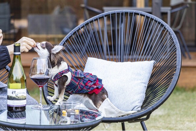 【ペットと泊まれる宿の予約サイト いぬやど‐INUYADO-】第14回 インターペットに出展