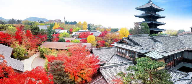 Plan・Do・Seeと東京割烹「くろぎ」オーナシェフ 黒木純が合弁会社「株式会社黒PDS」を設立、2025年9月に「ザ ソウドウ 東山京都」レストランを大規模リニューアル