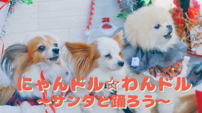 わんにゃん40匹がキュートにダンス！PRやペット支援事業を行う株式会社8-P、「にゃんドル☆わんドル」夢のミュージックビデオ誕生