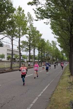 第22回あわら市トリムマラソン 参加者募集中!春のあわらを駆け抜けよう!